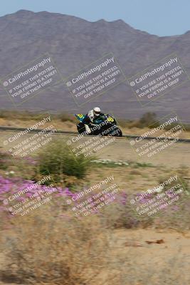 media/Feb-04-2023-SoCal Trackdays (Sat) [[8a776bf2c3]]/Turn 15 Inside Blooming (1050am)/